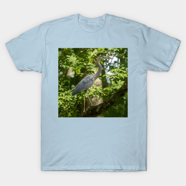 Great Blue heron high a tree T-Shirt by FlyingLilly